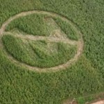 In this handout photo released by Greenpeace shows an aerial view of a crop circle made by local farmers and Greenpeace volunteers in Isabela province, 300 km northeast of Manila, on Saturday Sept. 30, 2006. The crop circle, with a slash over the letter ‘M’ symbolizes farmer rejection of alleged genetically modified Bt corn crops from Monsanto corporation. (AP Photo/Greenpeace,Melvyn Calderon,HO)