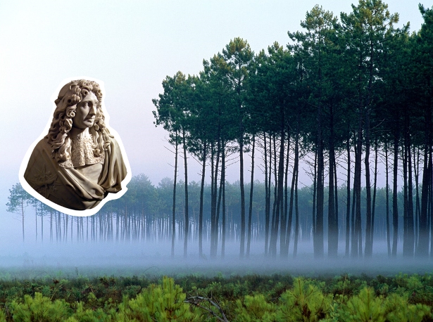El Busto de Jean-Baptiste Colbert esculpido por Antoine Coysevox, con el bosque de las Landas de Gascuña de fondo | Ilustración: edición digital en base a imágenes de Wikipedia y Espace Blue Ocean.