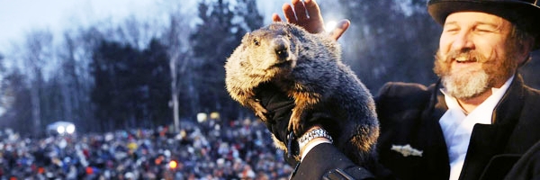 De acuerdo a cómo se despierte la marmota será el fin del invierno en EE.UU.; en la Argentina sucede lo mismo con el dólar | Foto:  vidaysabores.net