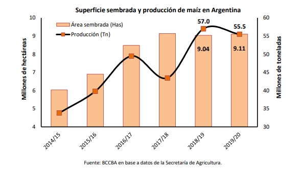 La producción de maíz para la campaña 2019/20 en Argentina, superaría las 55 millones de toneladas | Crédito: BCCBA.